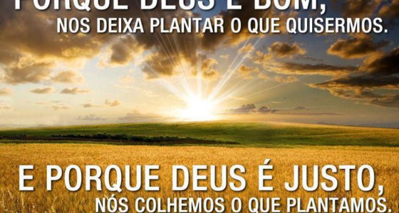 Domingo do Senhor: Gálatas 6 : 7-8